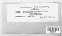 Image Associated With the Occurence